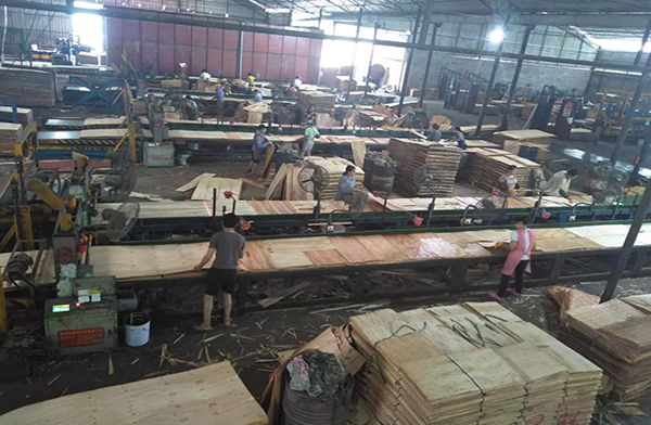 贵港市木业产业转型升级会议