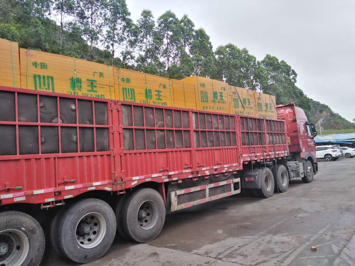 广西贵港木材业上半年产值逾190亿